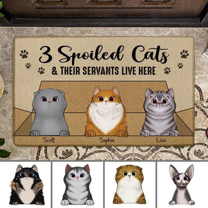 Spoiled Cats And Their Servants Live Here Personalized Doormat DM-NN639