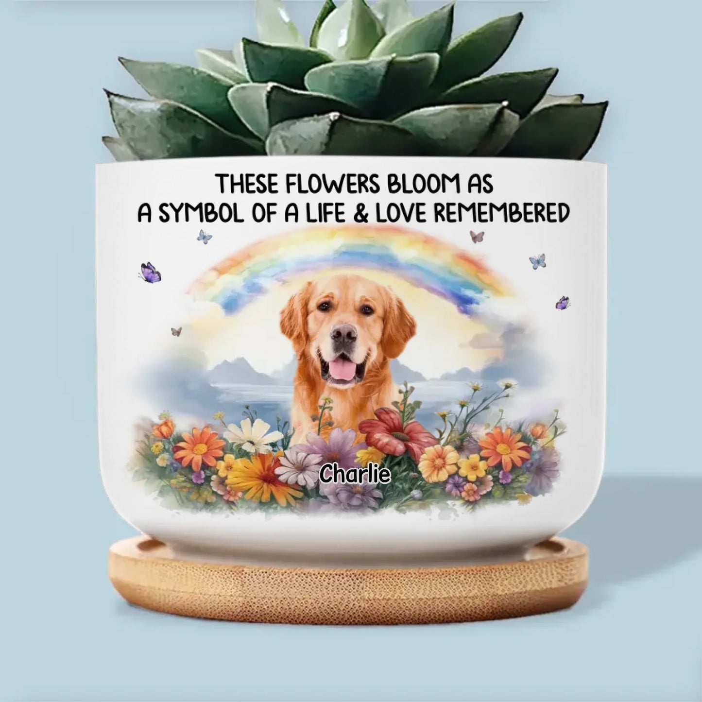 66165a22cf882_large