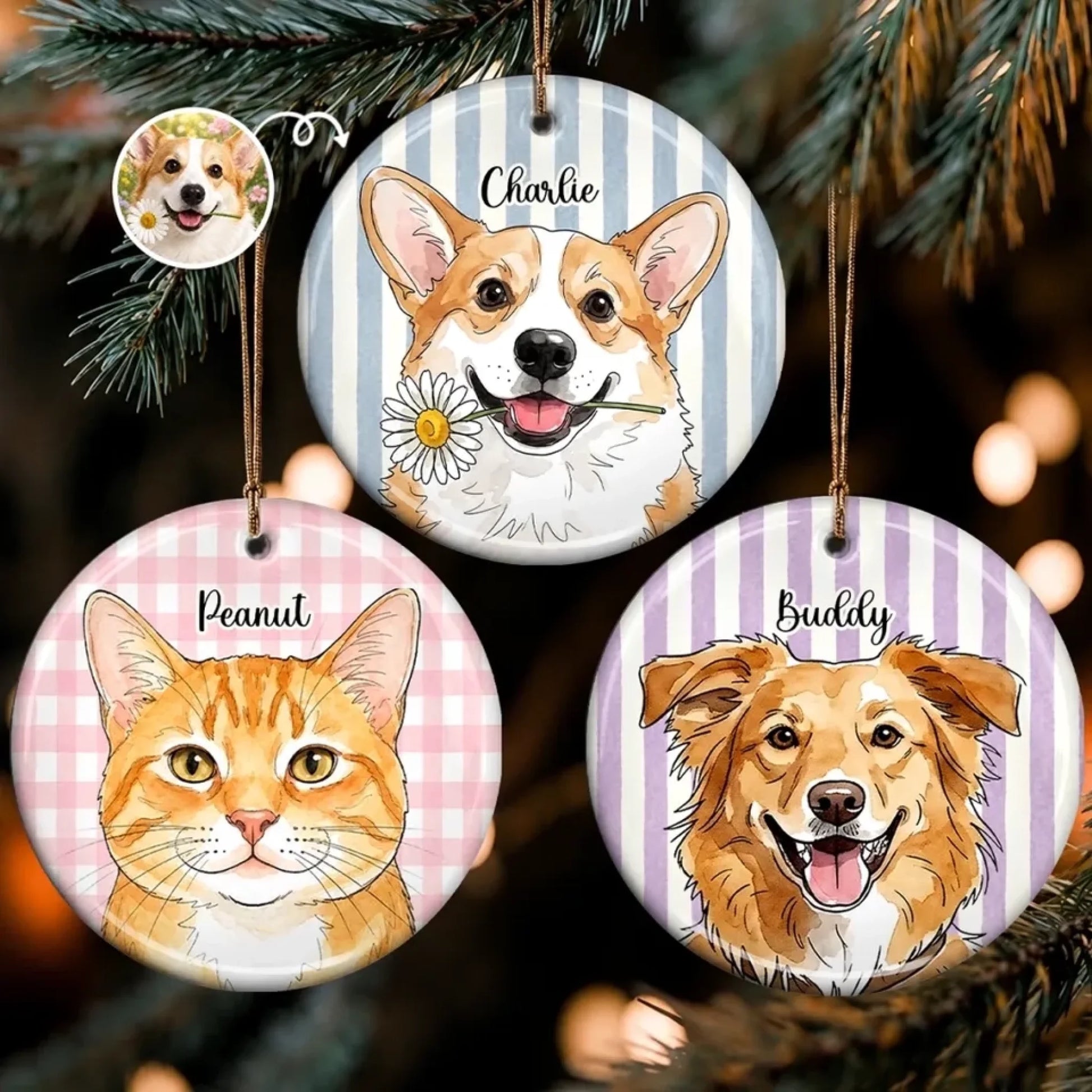 260804_tG8scRSgWUD4Fncn_large